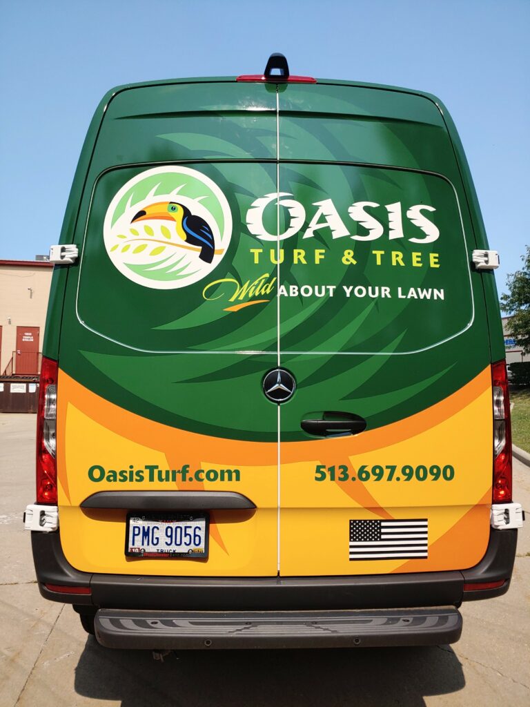 oasis-rear-wrap